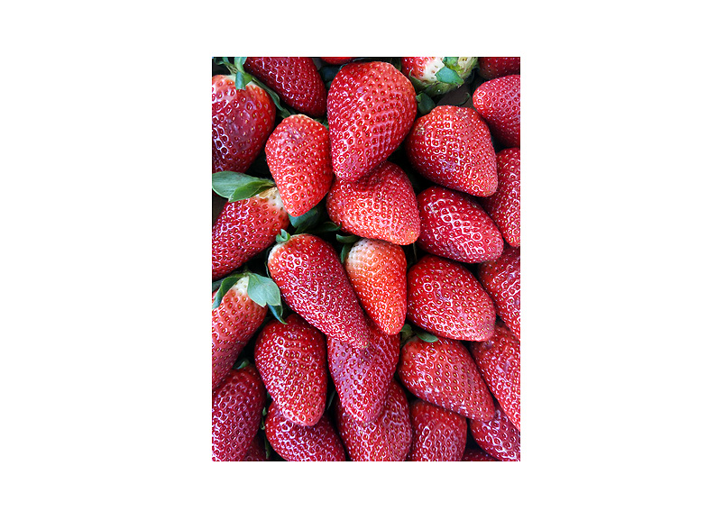 Fresas